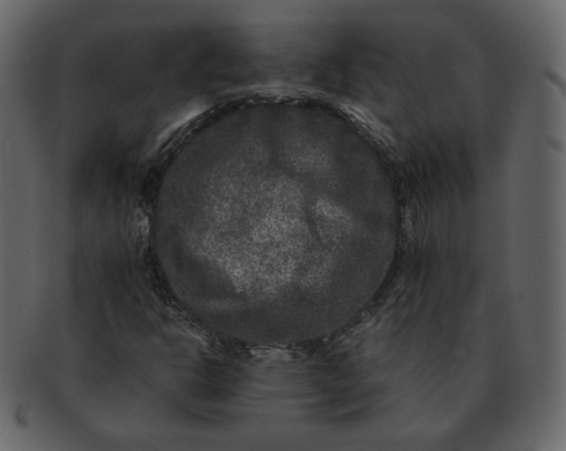 X0000092291302200710051154