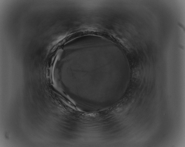 X0000092291303200710051154