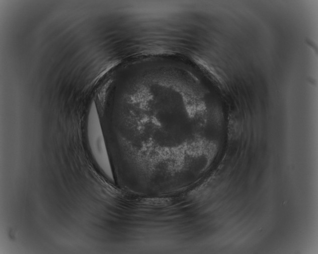 X0000092291305200710051154