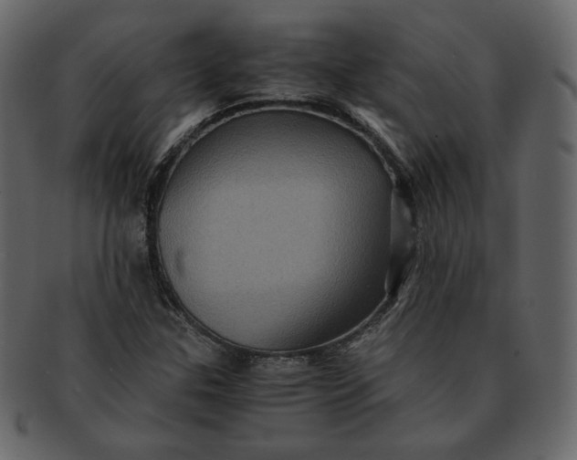 X0000092291307200710051154