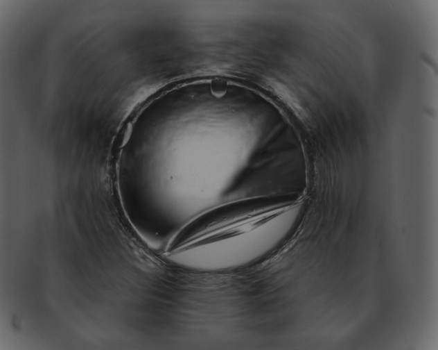 X0000092291308200710051154