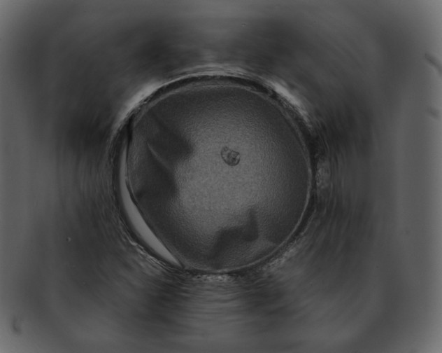 X0000092291310200710051154