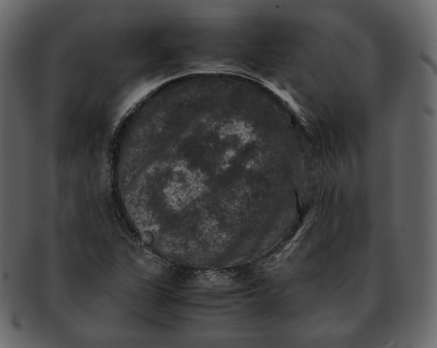 X0000092291311200710051154