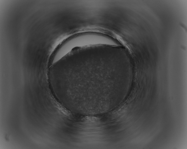 X0000092291312200710051154