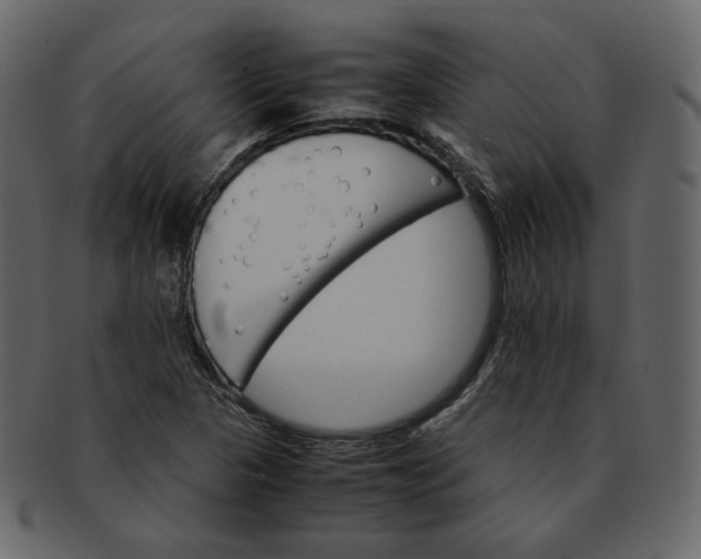 X0000092291313200710051154