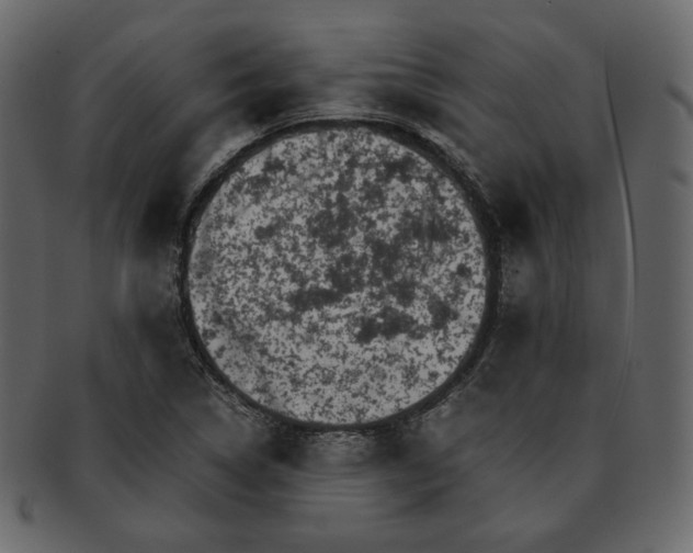 X0000092291314200710051154