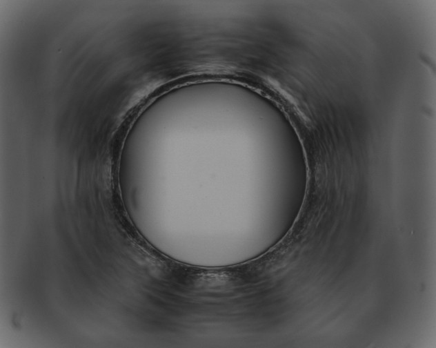 X0000092291315200710051154