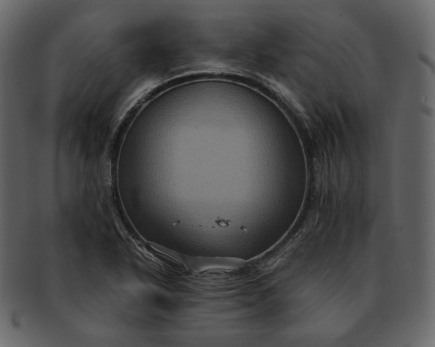 X0000092291318200710051154