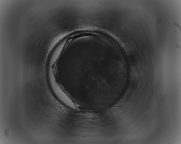 X0000092291319200710051154