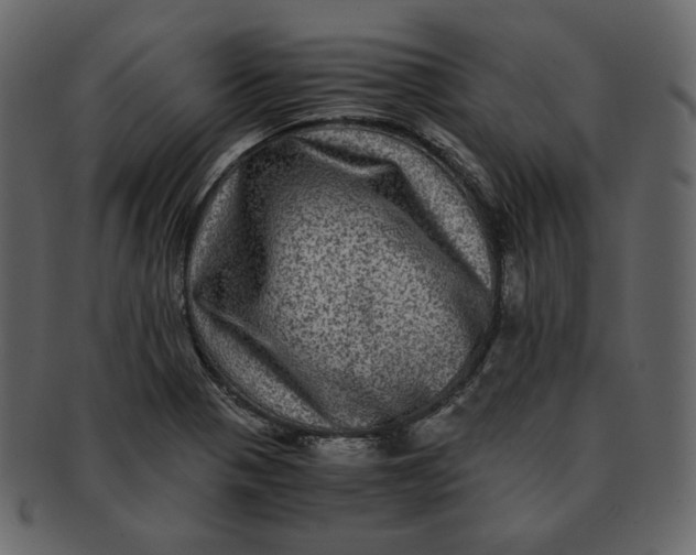 X0000092291321200710051154