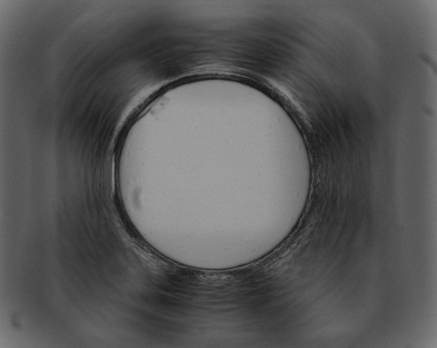 X0000092291323200710051154