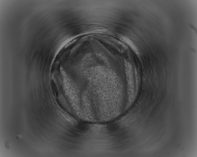 X0000092291324200710051155