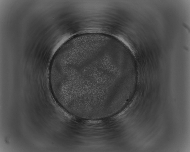 X0000092291325200710051155