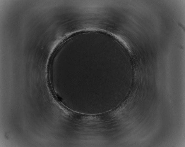 X0000092291327200710051155