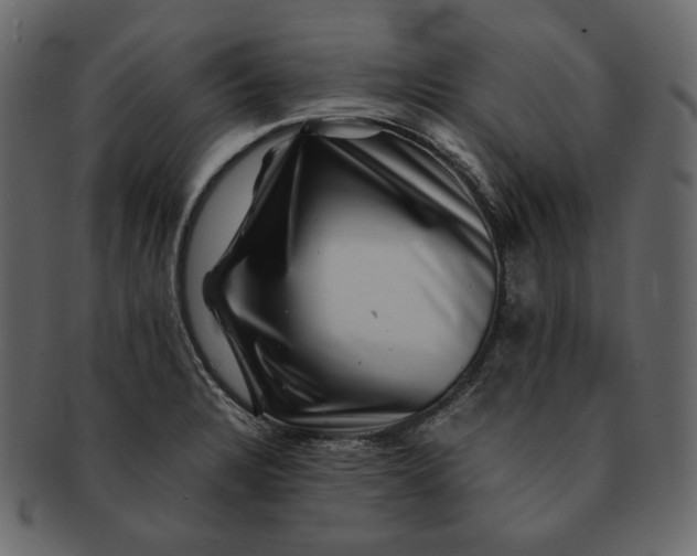 X0000092291328200710051155