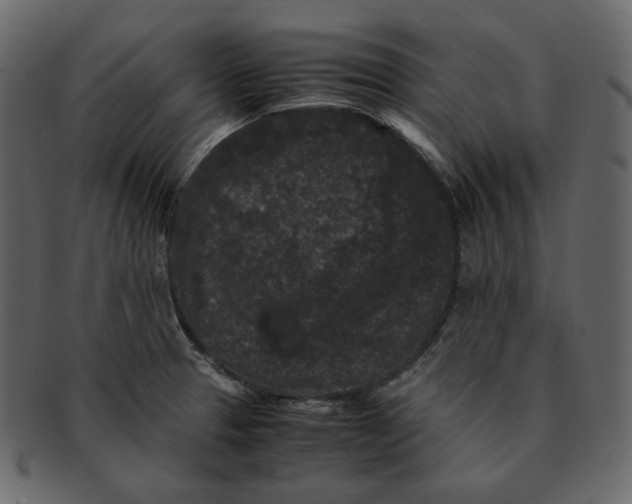 X0000092291329200710051155