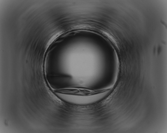 X0000092291330200710051155