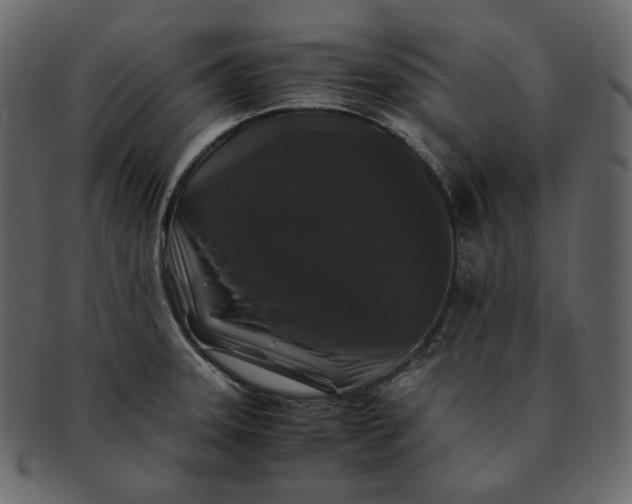 X0000092291331200710051155