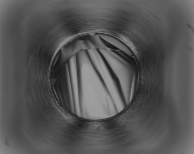 X0000092291332200710051155