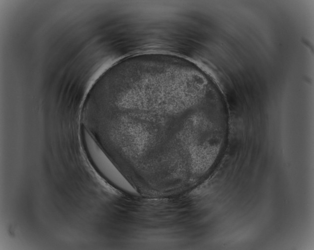 X0000092291333200710051155