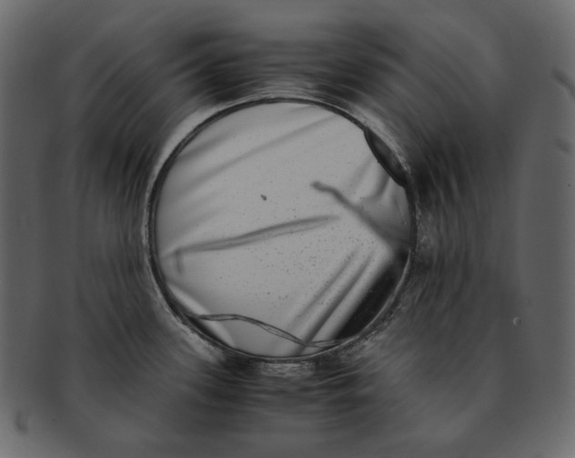 X0000092291339200710051155