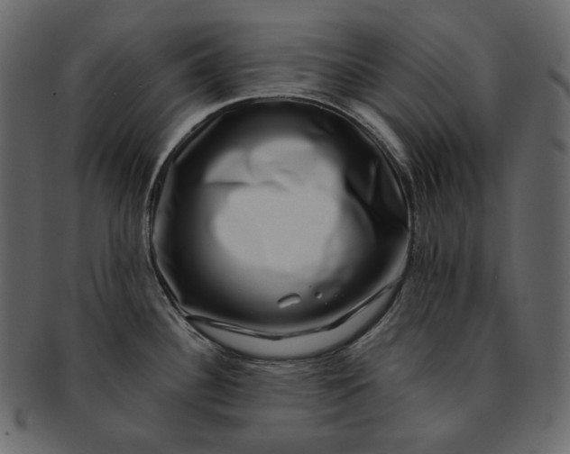 X0000092291340200710051155