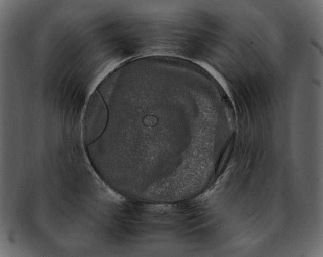 X0000092291341200710051155