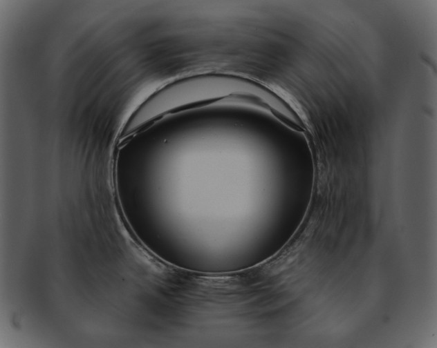 X0000092291342200710051155