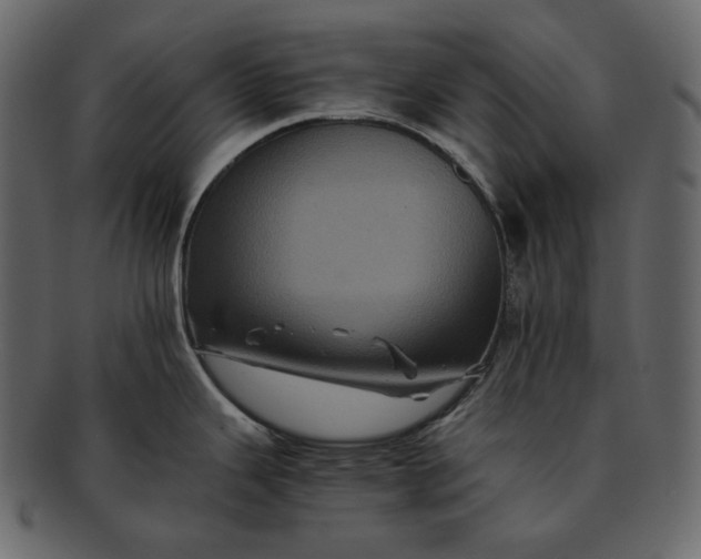 X0000092291343200710051155