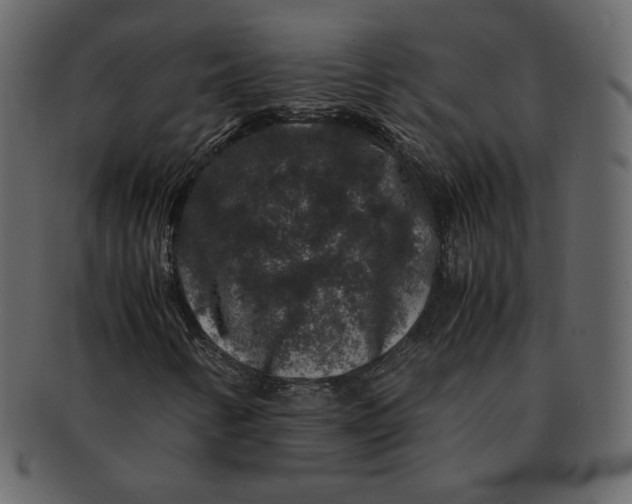 X0000092291346200710051154