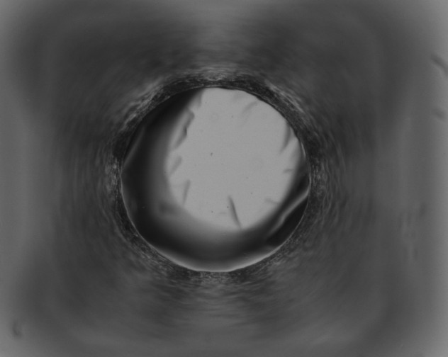 X0000092291349200710051154