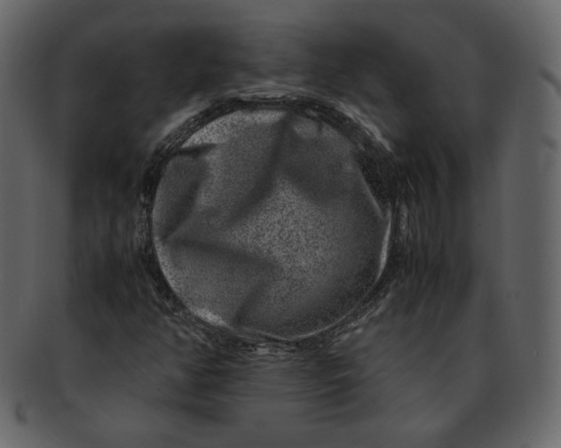 X0000092291350200710051154