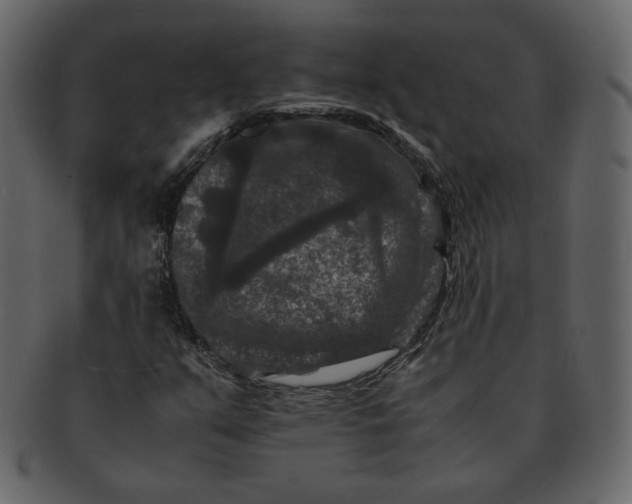 X0000092291351200710051154