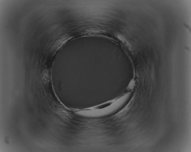 X0000092291353200710051154