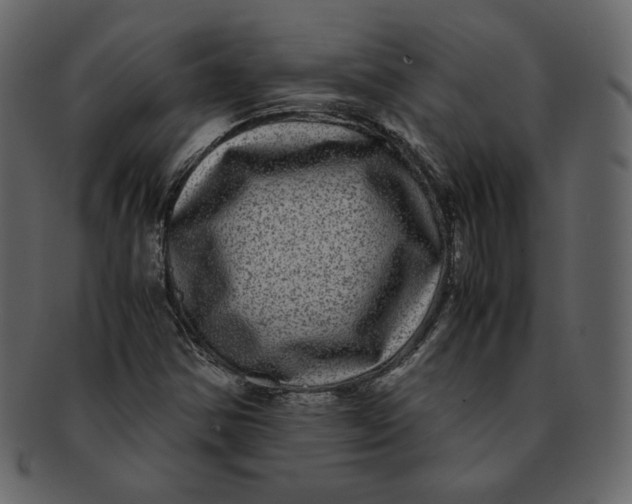 X0000092291354200710051154