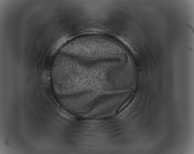 X0000092291355200710051154