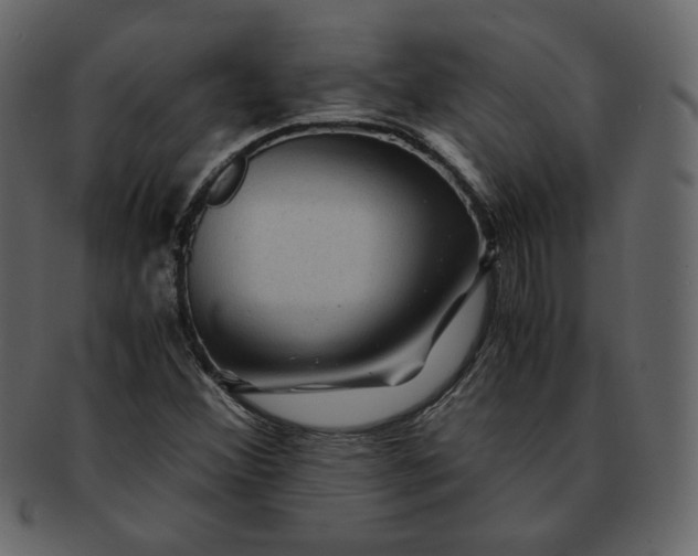 X0000092291356200710051154