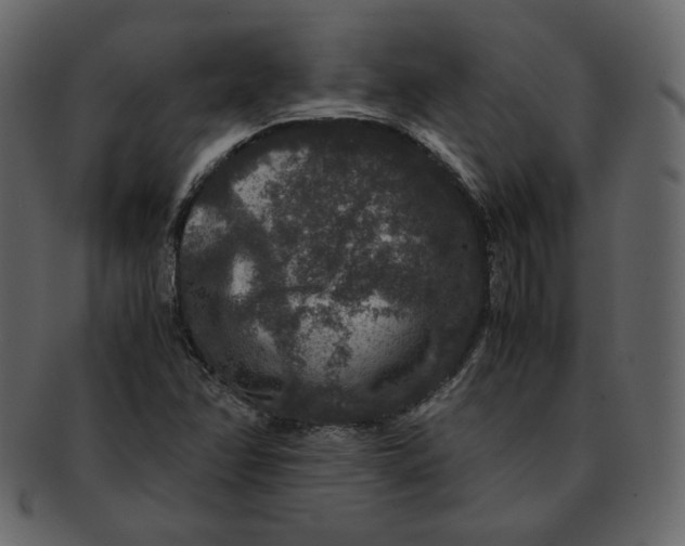 X0000092291358200710051154