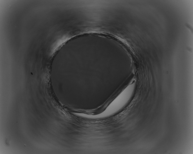 X0000092291359200710051154