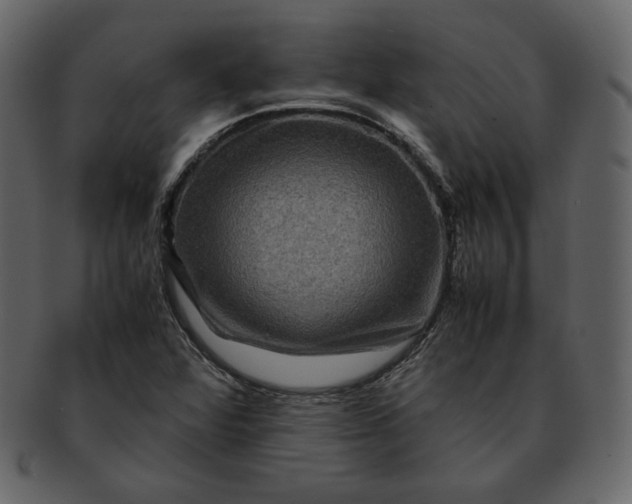 X0000092291360200710051154