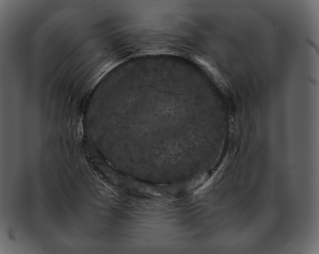 X0000092291361200710051154