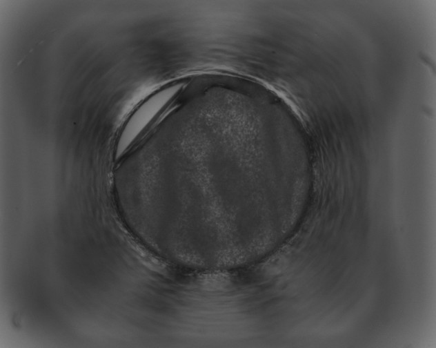 X0000092291363200710051154