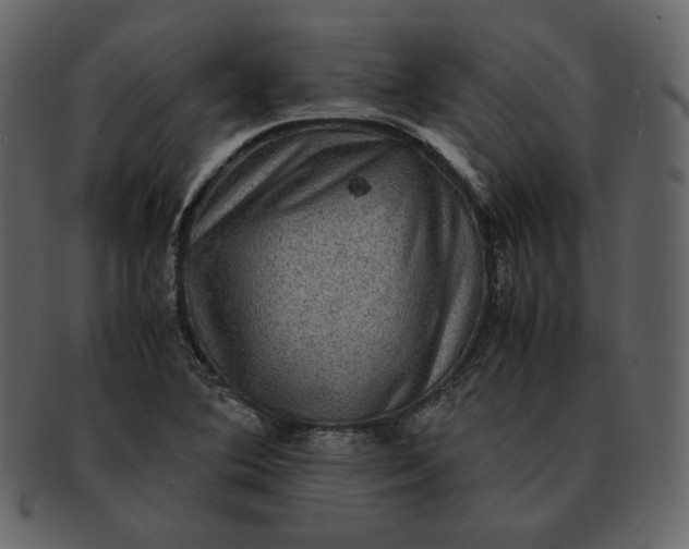 X0000092291364200710051154