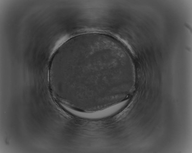 X0000092291365200710051154