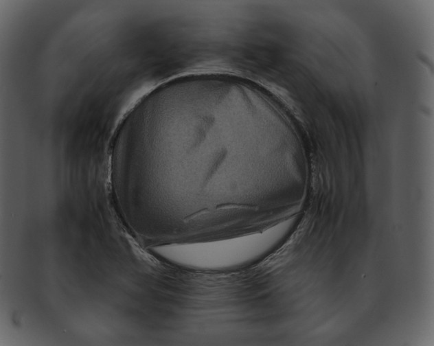 X0000092291366200710051154