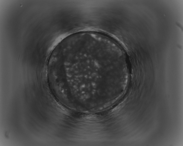 X0000092291367200710051154