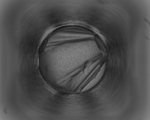 X0000092291368200710051154