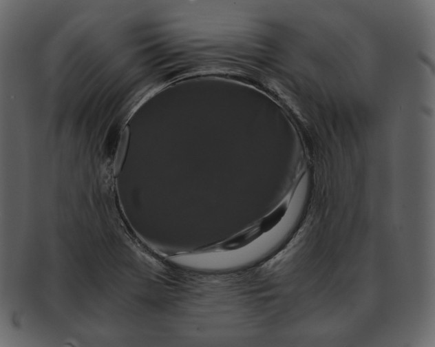 X0000092291369200710051154