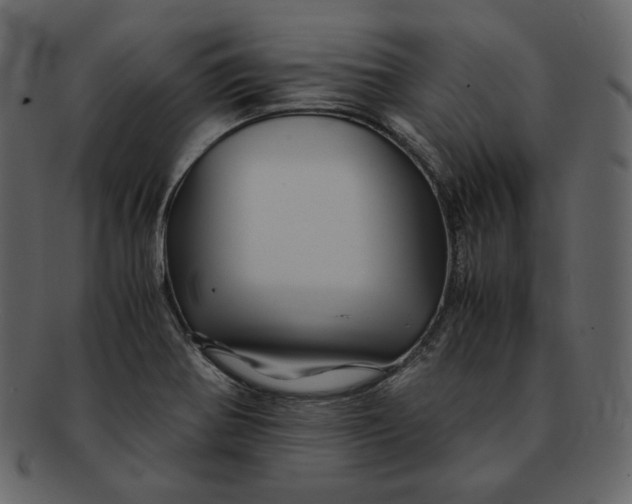 X0000092291370200710051154