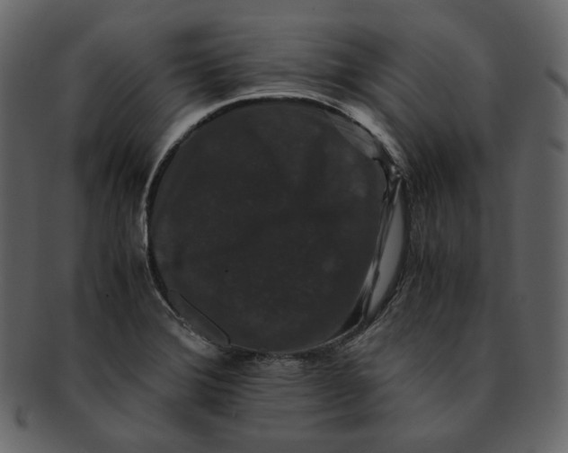 X0000092291372200710051154